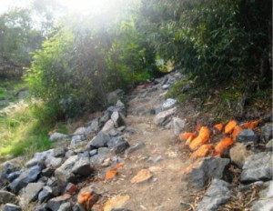 Unfinished Santiago Creek Bike Trail