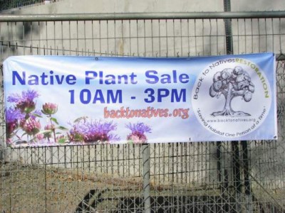 Native Plant Sale