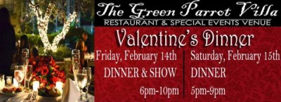 Green Parrot Valentine's Dinner